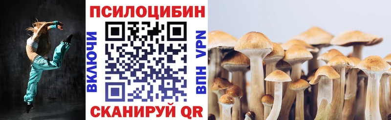 Галлюциногенные грибы Magic Shrooms  купить наркотики сайты  Белёв 
